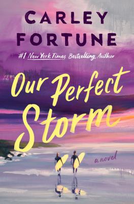 Our perfect storm : a novel